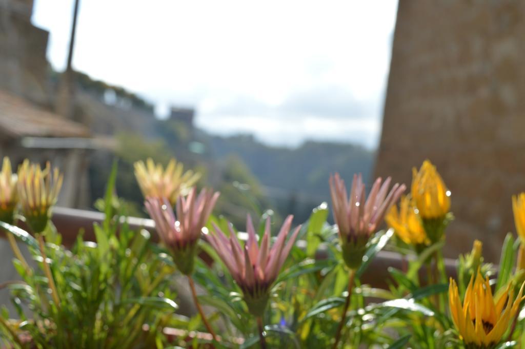 Casa Dei Lavatoi Pitigliano Daire Dış mekan fotoğraf